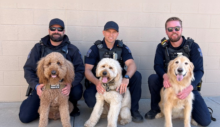 Scottsdale's Four-Legged Heroes Play Vital Roles in Policing and Community Support