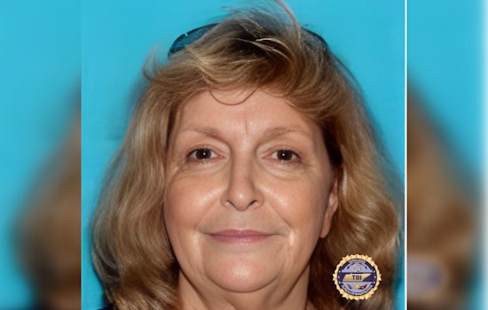 Search for Missing Somerville Woman Intensifies as TBI Issues Silver Alert