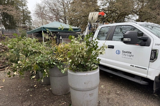Seattle City Light and Woodland Park Zoo Partner to Turn Power Line Trimmings into Animal Treats