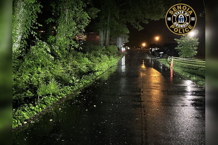 Senoia Police Seek Witnesses for Downtown Hit-and-Run Incident During "Alive After Five" Event