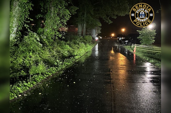 Senoia Police Seek Witnesses for Downtown Hit-and-Run Incident During "Alive After Five" Event