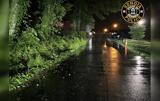 Senoia Police Seek Witnesses for Downtown Hit-and-Run Incident During "Alive After Five" Event