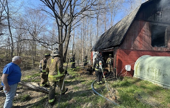 Several Animals Perish in Trafalgar Barn Fire Due to Suspected Electrical Malfunction