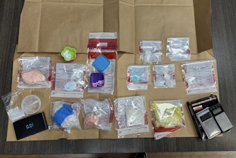 Sevier County Law Enforcement Seizes Major Drug Cache in Seymour Area Raids