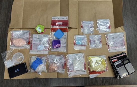 Sevier County Law Enforcement Seizes Major Drug Cache in Seymour Area Raids