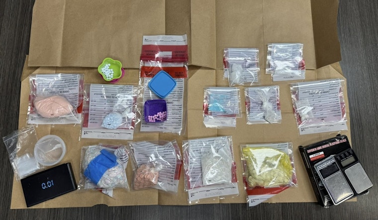 Sevier County Law Enforcement Seizes Major Drug Cache in Seymour Area Raids