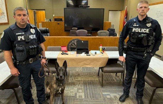 Shelbyville Suspect Arrested, Police Uncover Meth and Weapons During Burglary Call Response