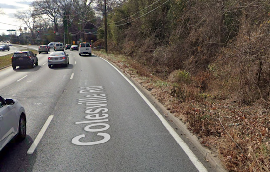 Silver Spring Community Mourns Loss of Local Woman in Late-Night Colesville Road Crash