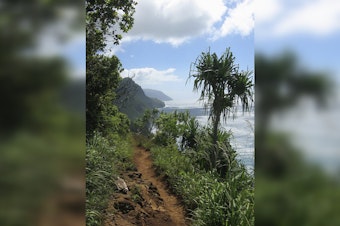 South Carolina Tourist Rescued by Kaua‘i First Responders on Kalalau Trail
