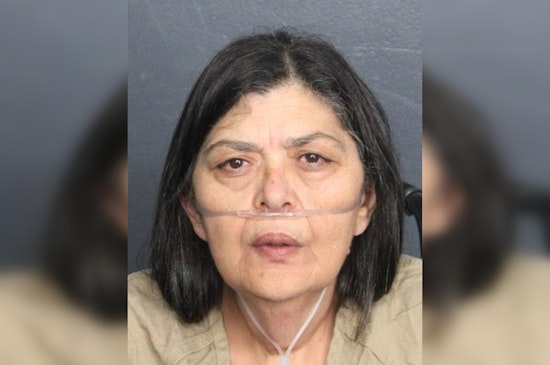 South Florida Bookkeeper Accused of $10 Million Wire Fraud Arrested Attempting to Flee to Israel from Miami