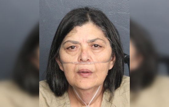 South Florida Bookkeeper Accused of $10 Million Wire Fraud Arrested Attempting to Flee to Israel from Miami