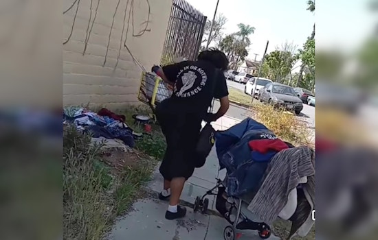 South Gate Assailant Arrested and Charged with Assault and Elder Abuse