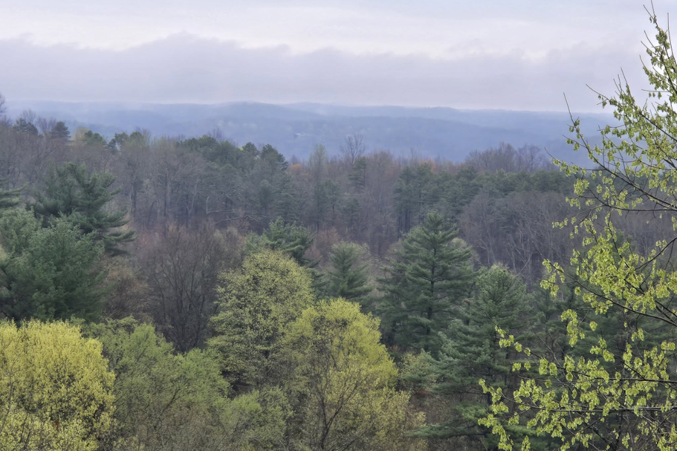 Southern Ohio's Zaleski State Forest Awash in Spring Colors, Historic Atkinson Ridge Fire Tower Offers Spectacular Views