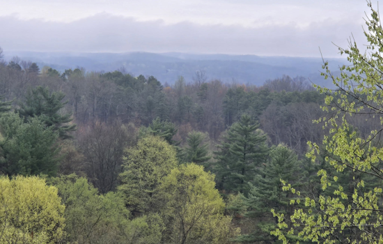 Southern Ohio's Zaleski State Forest Awash in Spring Colors, Historic Atkinson Ridge Fire Tower Offers Spectacular Views