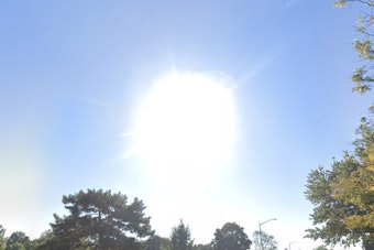 Spring Sunshine to Continue in New York with Mild Weekdays Ahead of Weekend Showers