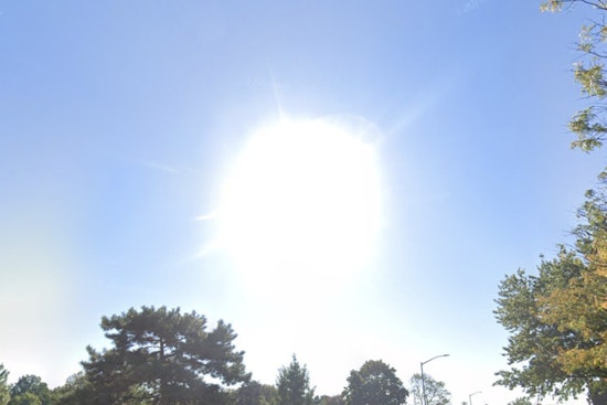 Spring Sunshine to Continue in New York with Mild Weekdays Ahead of Weekend Showers