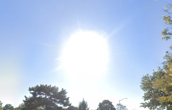 Spring Sunshine to Continue in New York with Mild Weekdays Ahead of Weekend Showers