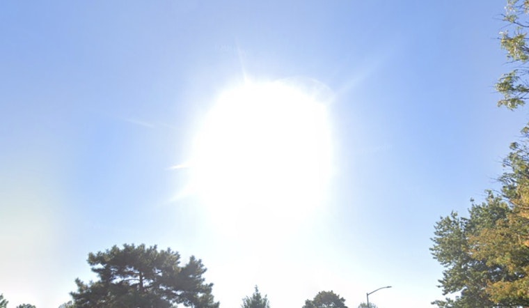 Spring Sunshine to Continue in New York with Mild Weekdays Ahead of Weekend Showers