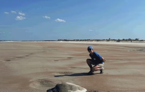 St. Johns County's Beach Tilling Efforts Aim to Enhance Sea Turtle Nesting Habitat