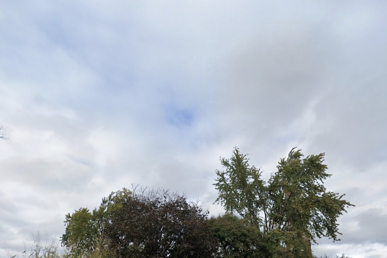 St. Louis Braces for Freeze Watch as NWS Warns of Sub-Freezing Temps and Plant Risk