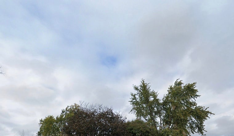 St. Louis Braces for Freeze Watch as NWS Warns of Sub-Freezing Temps and Plant Risk