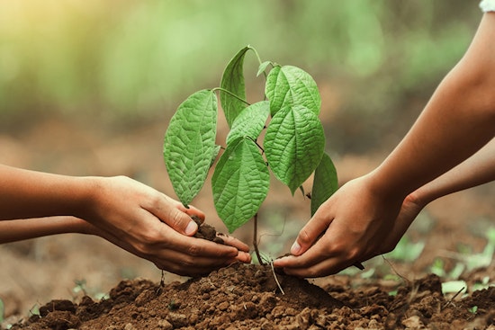 St. Louis Park Celebrates Arbor Month with Tree Planting and Green Activities at Browndale Park
