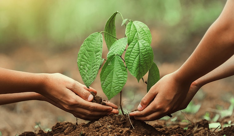 St. Louis Park Celebrates Arbor Month with Tree Planting and Green Activities at Browndale Park
