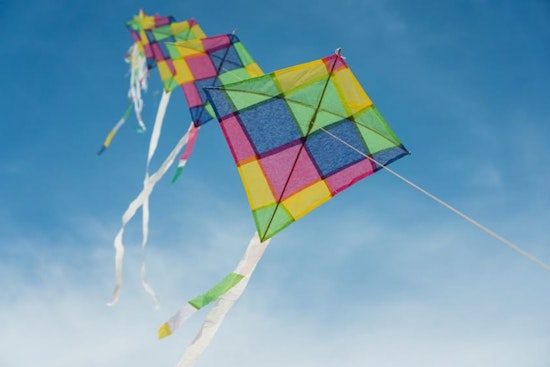 St. Louis Park's 37th Annual Kilwanis Kite Fly Set to Launch at Louisiana Oaks Park on April 26