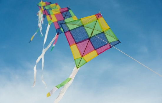 St. Louis Park's 37th Annual Kilwanis Kite Fly Set to Launch at Louisiana Oaks Park on April 26