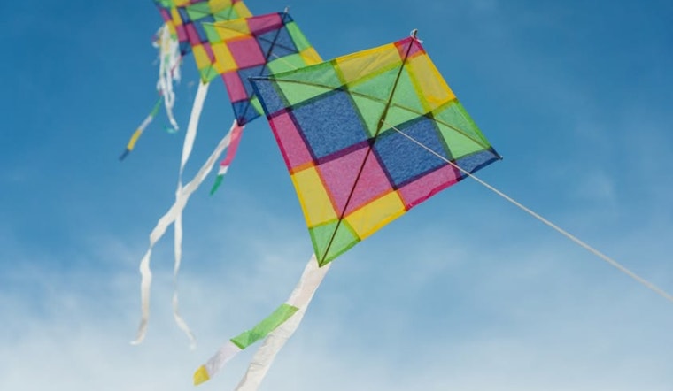 St. Louis Park's 37th Annual Kilwanis Kite Fly Set to Launch at Louisiana Oaks Park on April 26