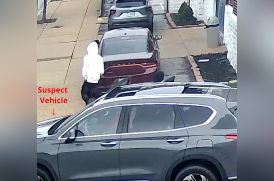 St. Louis Police Seek Public Help to Identify Suspects in Tower Grove Southeast Carjacking