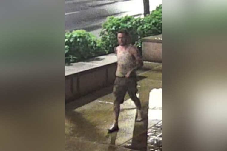 St. Louis Police Seek Public's Aid in Identifying Suspects in Police Vehicle Vandalism
