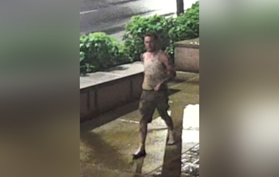 St. Louis Police Seek Public's Aid in Identifying Suspects in Police Vehicle Vandalism