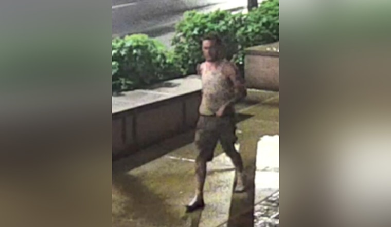 St. Louis Police Seek Public's Aid in Identifying Suspects in Police Vehicle Vandalism