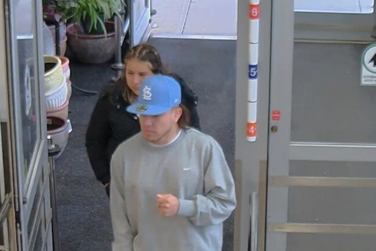St. Louis Police Seek Public's Help to Identify Suspects in Credit Card Theft Case
