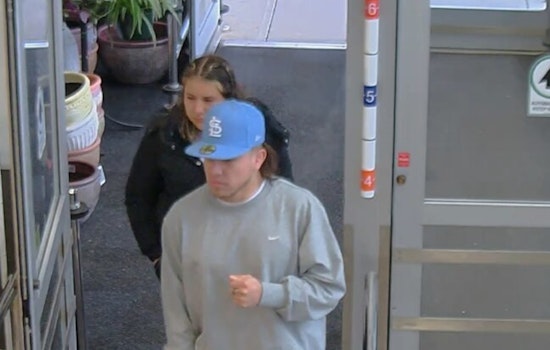 St. Louis Police Seek Public's Help to Identify Suspects in Credit Card Theft Case