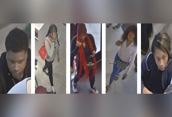 St. Louis Police Seek Public's Help to Identify Suspects in $3,200 Lululemon Theft in Central West End