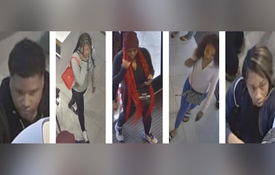 St. Louis Police Seek Public's Help to Identify Suspects in $3,200 Lululemon Theft in Central West End