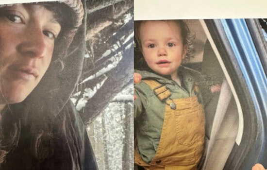 Stockbridge Community Rallies in Search for Missing Locals, Police Seek Public's Help with Surveillance Footage