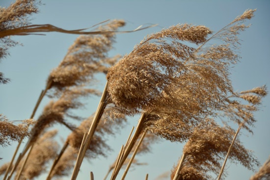 Sunny Skies and Gusty Winds Sweep Oklahoma City as Variable Weather Looms