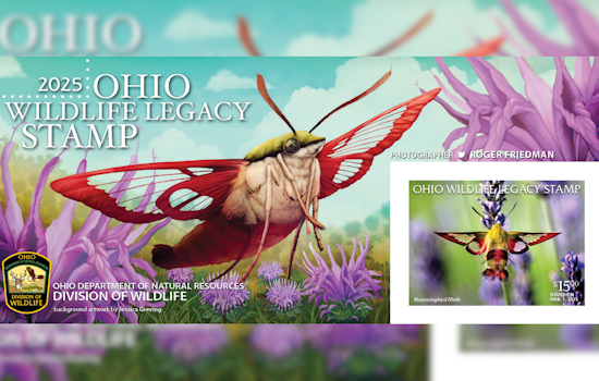 Support Ohio Wildlife Conservation by Purchasing the 2025 Ohio Wildlife Legacy Stamp Featuring Hummingbird Clearwing Moth