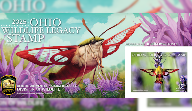 Support Ohio Wildlife Conservation by Purchasing the 2025 Ohio Wildlife Legacy Stamp Featuring Hummingbird Clearwing Moth