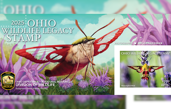 Support Ohio's Wildlife: 2025 Ohio Wildlife Legacy Stamp Featuring Hummingbird Clearwing Moth Now on Sale