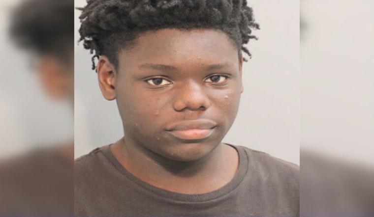 Suspect Detained After Vehicle Chase and Collision in Harris County, Charged with Multiple Offenses