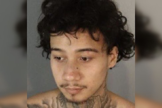 Suspect Faces Murder Charge After Fatal Multi-Vehicle Crash, Police Seek Witnesses