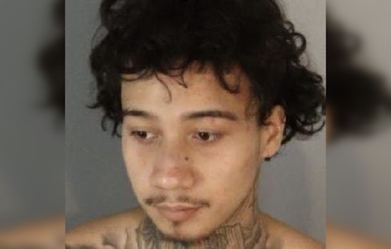 Suspect Faces Murder Charge After Fatal Multi-Vehicle Crash, Police Seek Witnesses