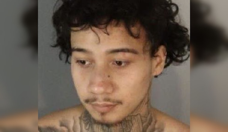Suspect Faces Murder Charge After Fatal Multi-Vehicle Crash, Police Seek Witnesses