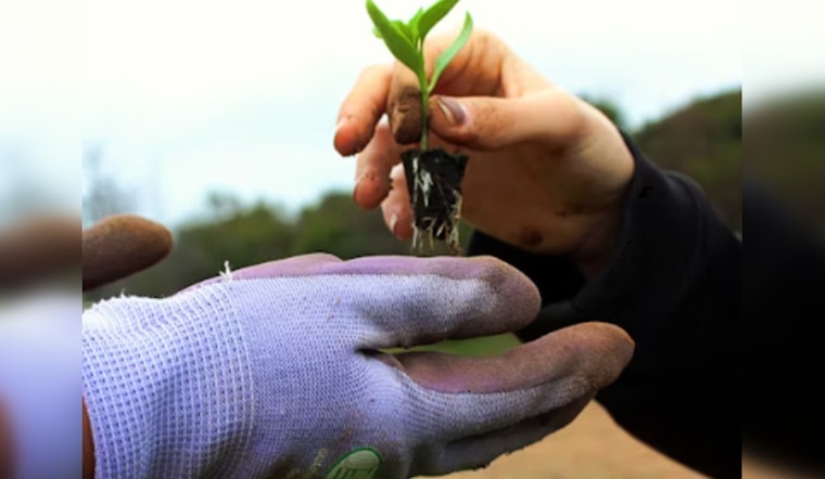Tacoma Invites Community to Earth Day Planting Party at McKinley Overlook on April 19