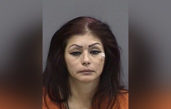 Tampa Driver Charged with DUI Manslaughter After Fatal Crash Under Selmon Expressway