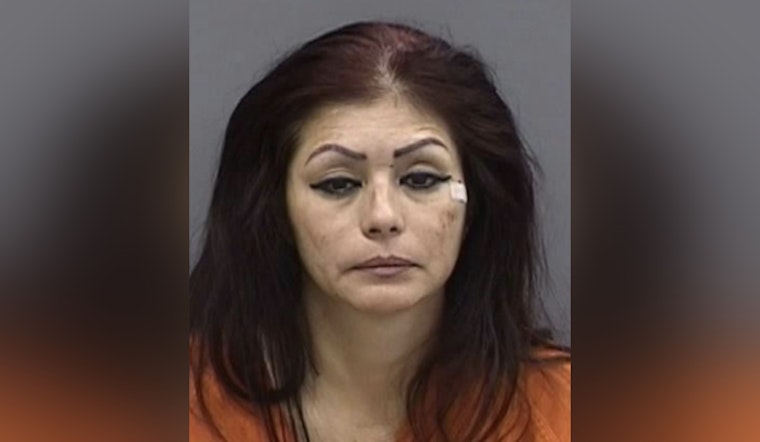 Tampa Driver Charged with DUI Manslaughter After Fatal Crash Under Selmon Expressway